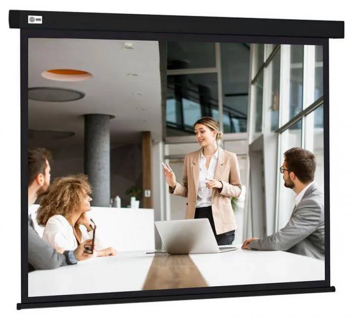 Экран Cactus Wallscreen CS-PSW-124X221-BK