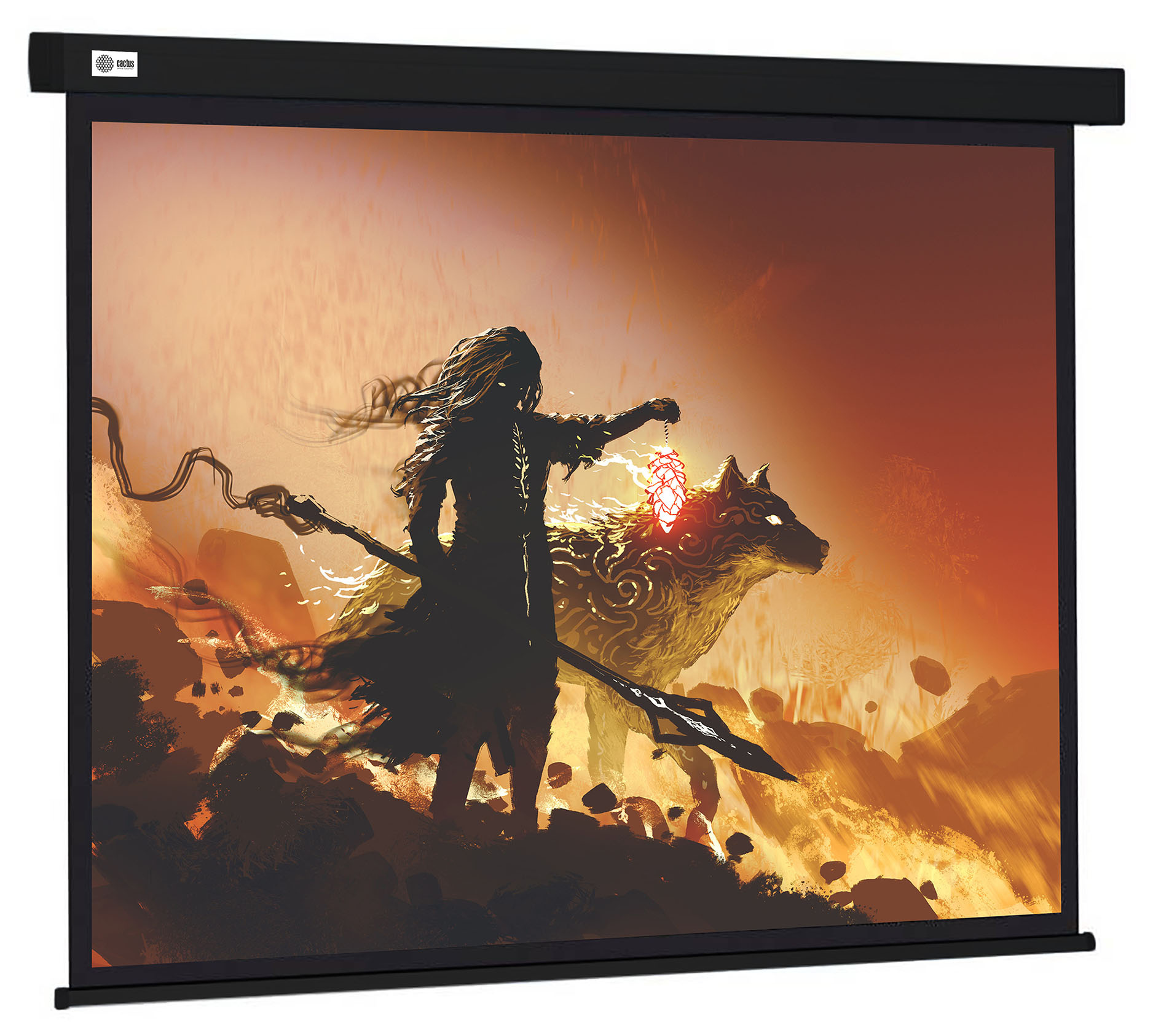 Экран Cactus Wallscreen CS-PSW-149X265-BK