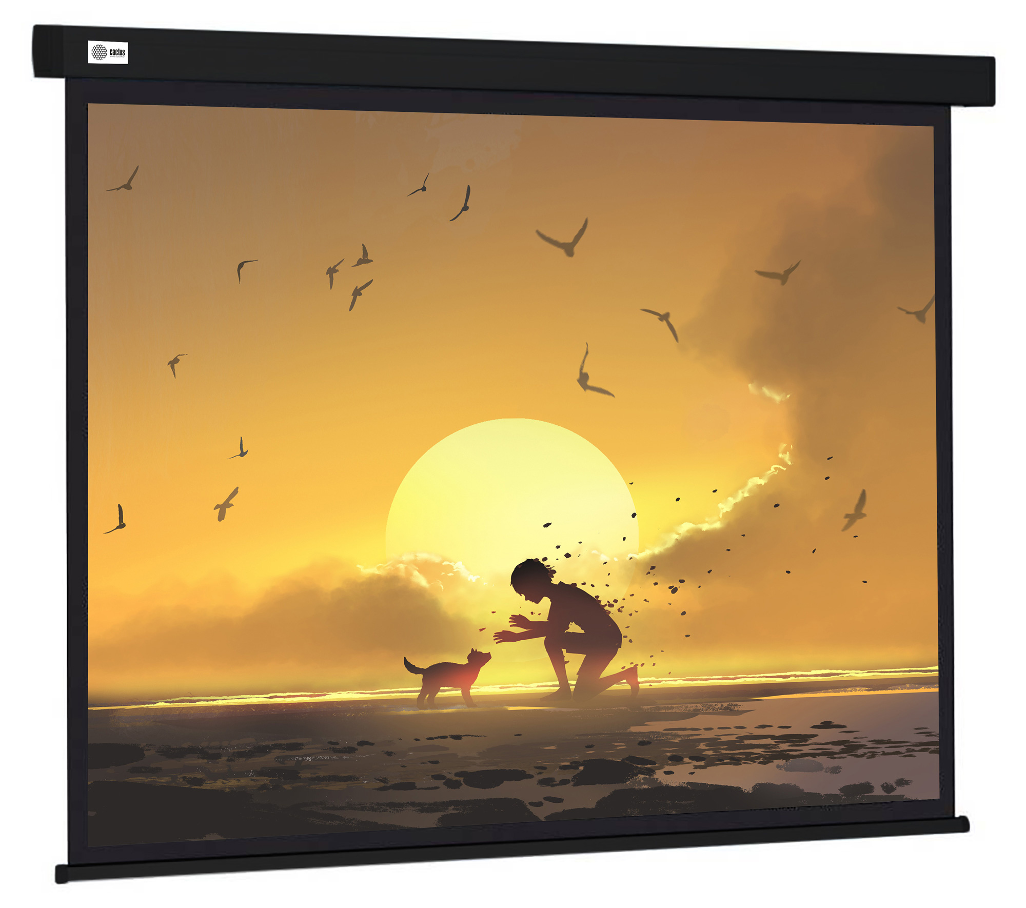 Экран Cactus Wallscreen CS-PSW-150X150-BK