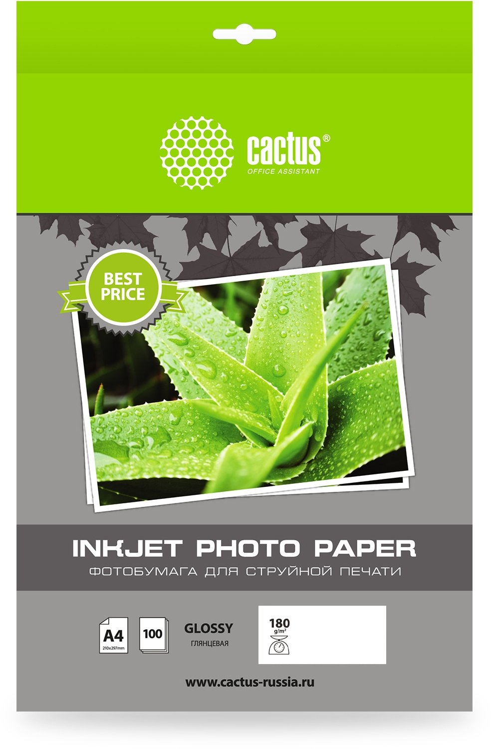 Фотобумага Cactus CS-GA4180100ED A4/180г/м2/100л/белый глянцевое для струйной печати