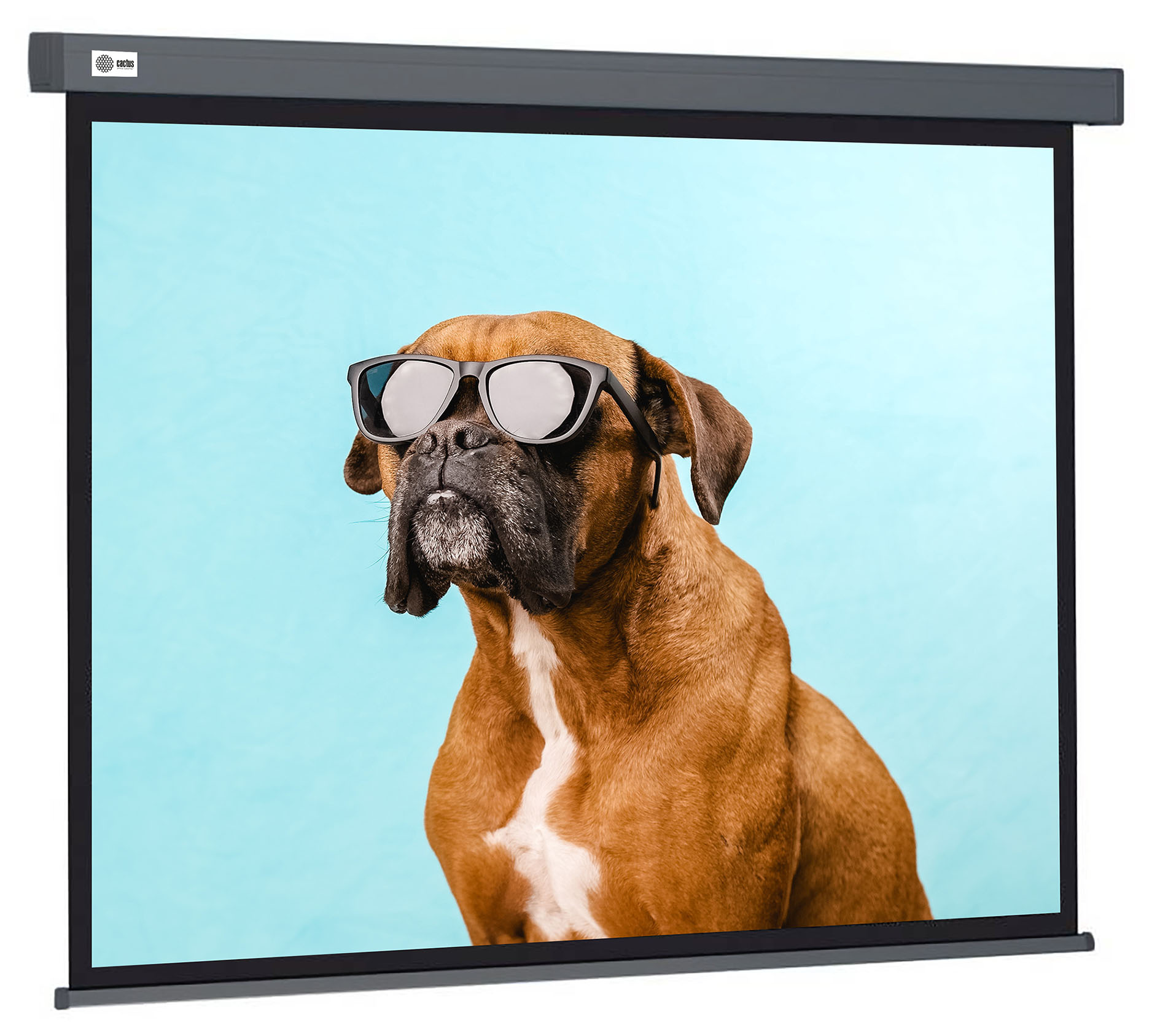 Экран Cactus Wallscreen CS-PSW-149X265-SG