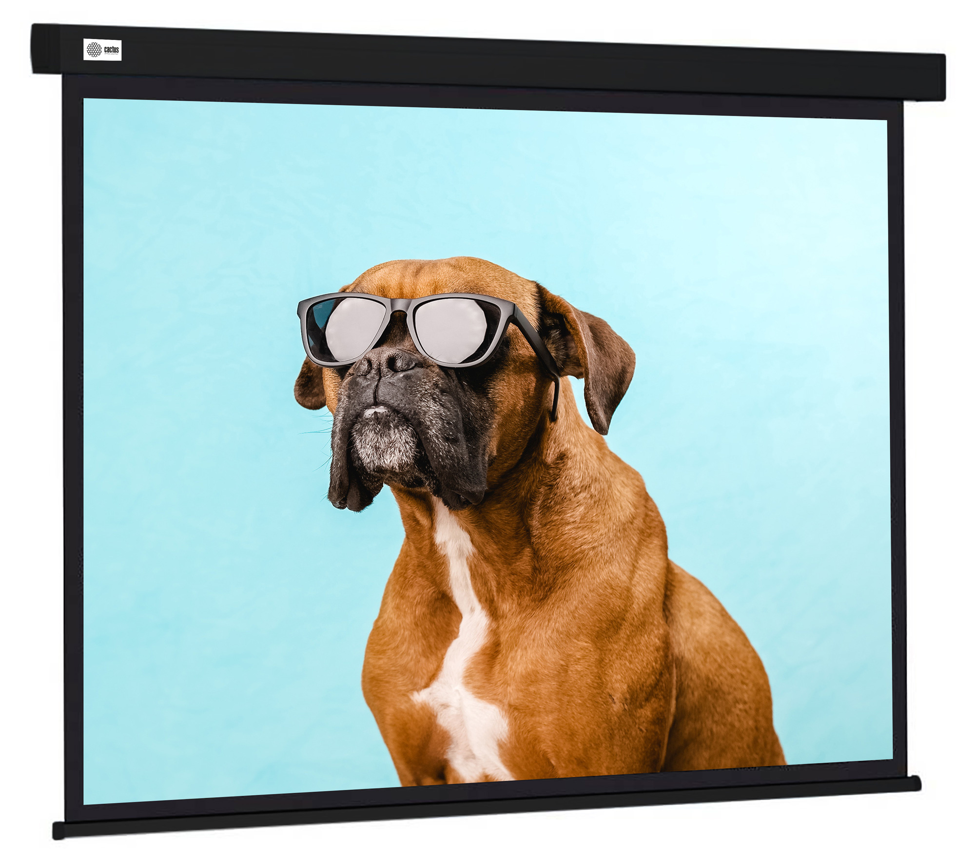 Экран Cactus Wallscreen CS-PSW-183X244-BK