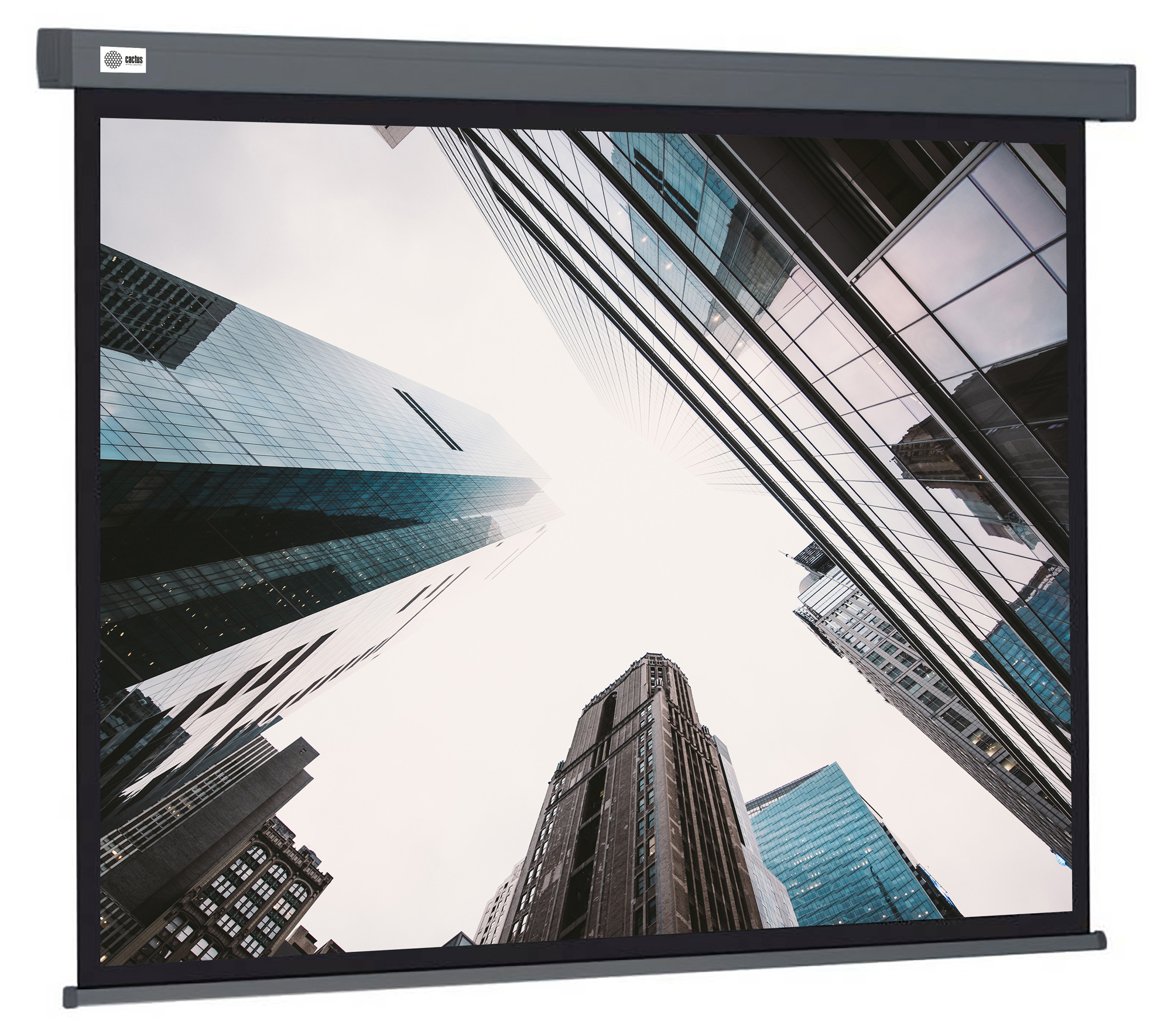 Экран Cactus Wallscreen CS-PSW-183X244-SG