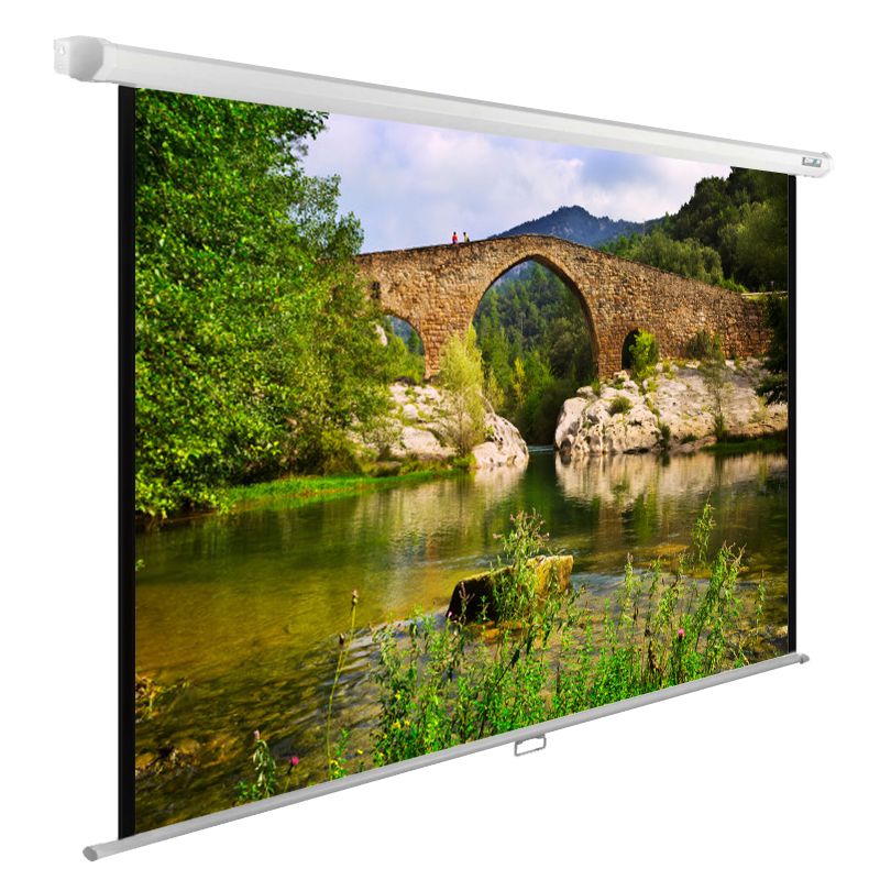 Экран Cactus WallExpert CS-PSWE-220x165-WT
