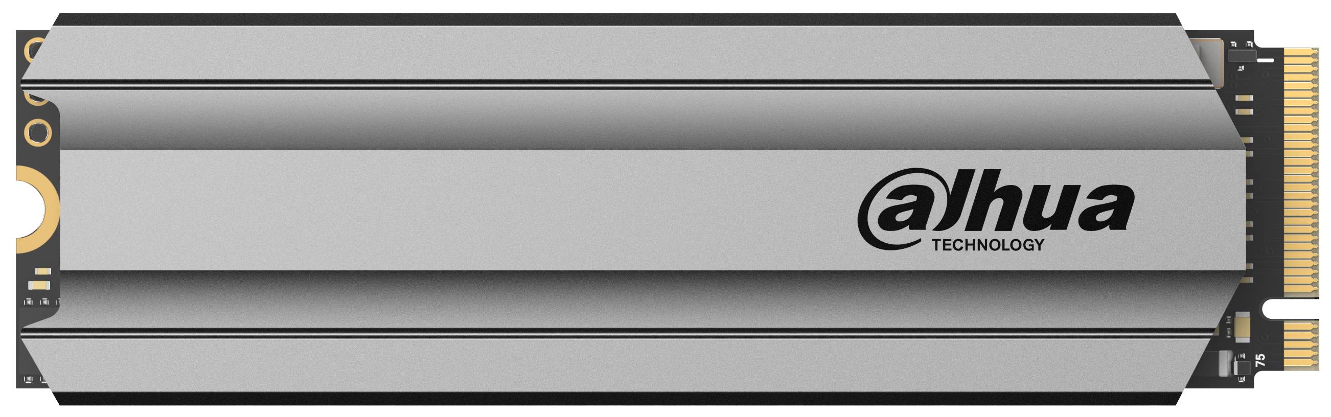 256Gb SSD Dahua DHI-SSD-C900VN256G, (3000/1450), NVMe M.2
