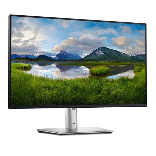 Монитор 23.8" Dell P2425HE, 1920x1080, IPS, 100Hz (HDMI, DP, USB Type-C)