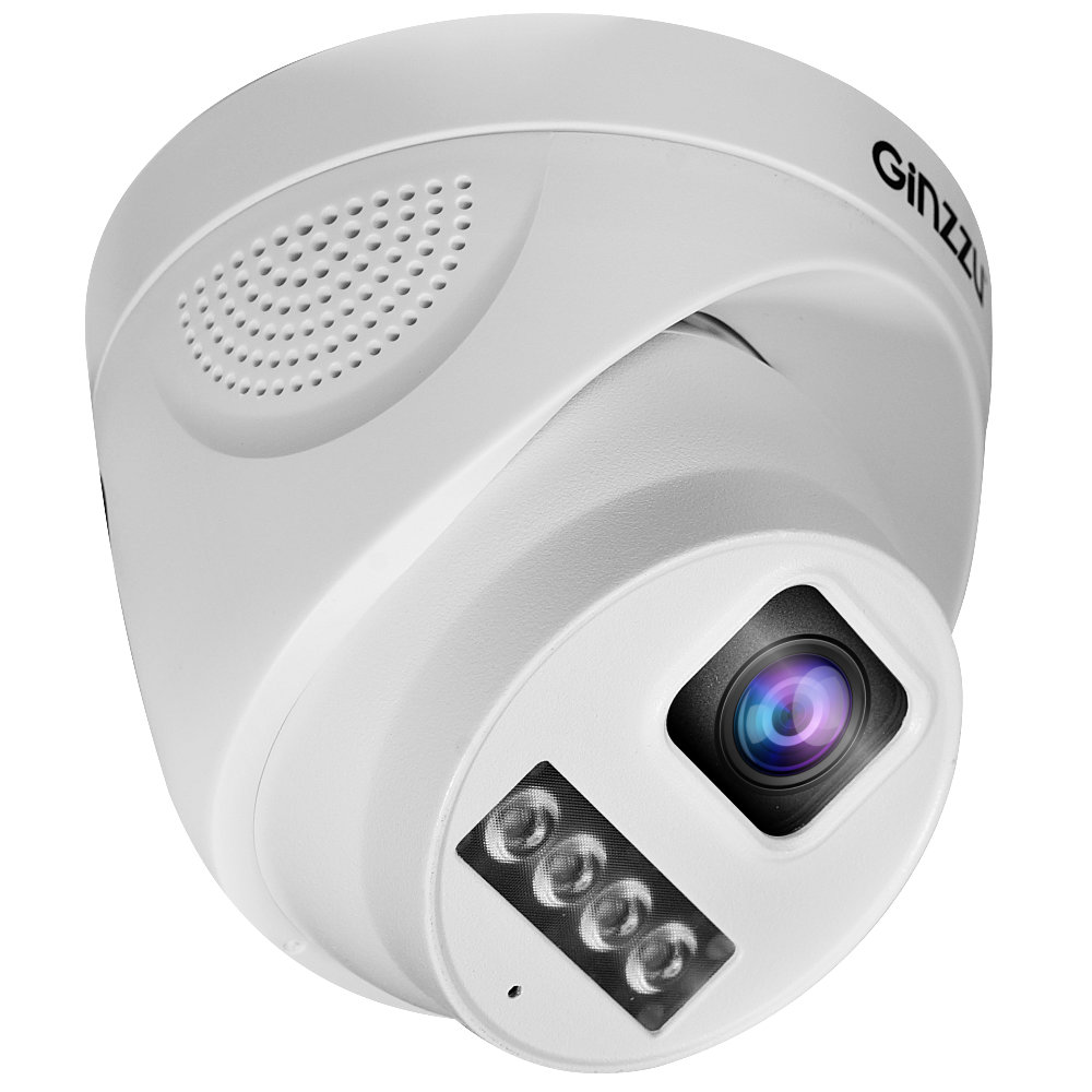 IP-камера Ginzzu HID-4301A
