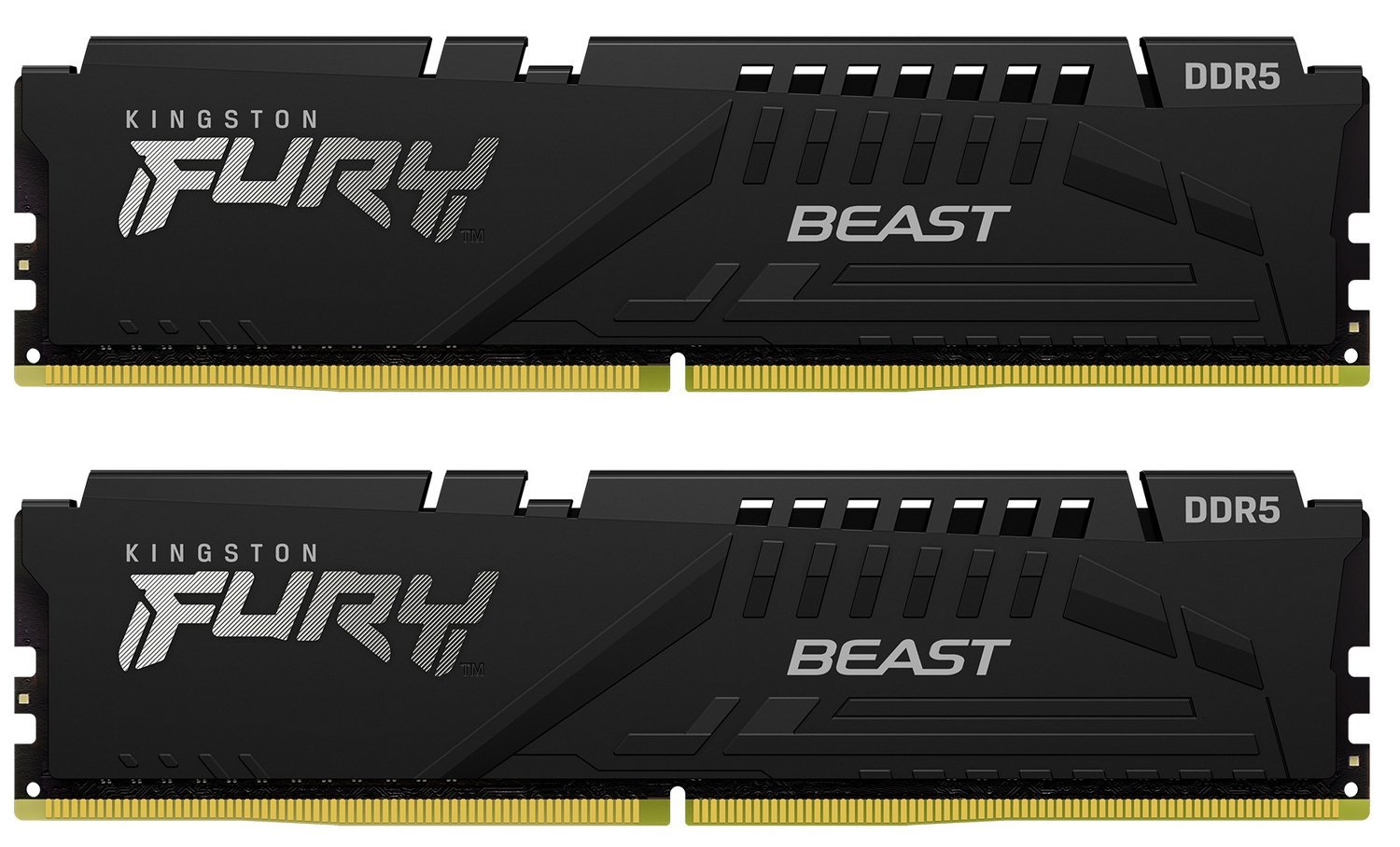Оперативная память 64Gb Kingston FURY Beast Black KF564C32BBK2-64, DDR V, PC-51200, 6400MHz, kit 2x32Gb