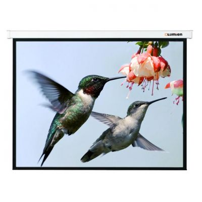 Экран Lumien Master Picture LMP-100103, 180x180