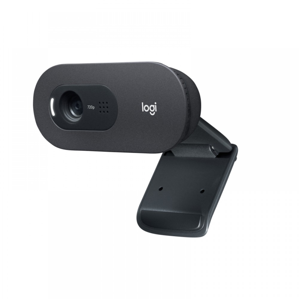 WEB камера Logitech WebCam C505e 960-001373