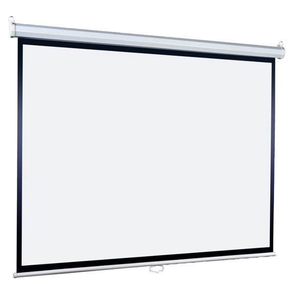 Экран Lumien Eco Picture LEP-100106