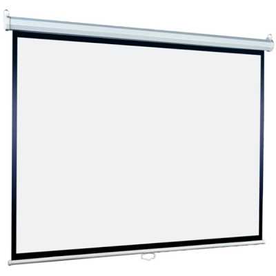 Экран Lumien Eco Picture LEP-100119