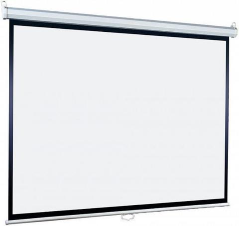 Экран Lumien Eco Picture LEP-100124