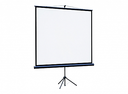 Экран Lumien Eco View LEV-100110