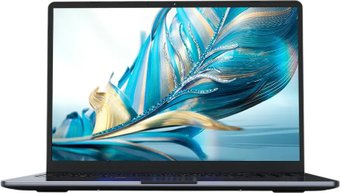 Ноутбук Ninkear N16 Pro (NKLPN16PROYF241024), 16" IPS, Core Ultra 5 125H/ 24Gb/ 1024SSD/ W11/ Silver