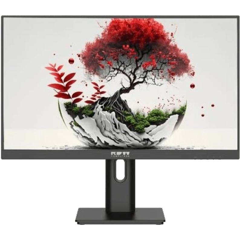 Монитор 23.8" RDW Computers 2401K (F08B3100V2A1A), 1920x1080, IPS, 100Hz, Speakers (VGA, HDMI, DP)
