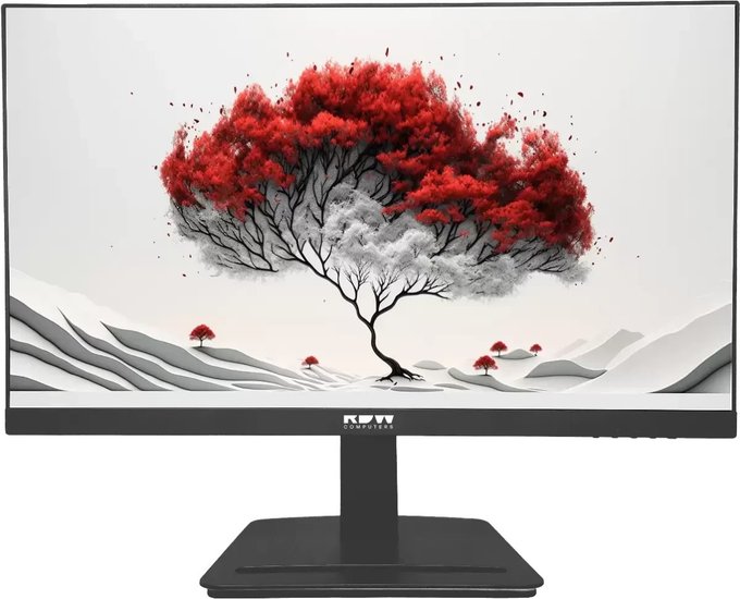 Монитор 23.8" RDW Computers 2401K (F08B3100V3A1H), 1920x1080, IPS, 100Hz, Speakers (VGA, HDMI, DP)