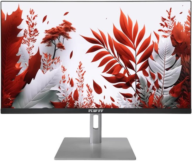 Монитор 23.8" RDW Computers 2407K/F14В3120V2A1B, 1920x1080, IPS, 120Hz, Speakers (HDMI, DP, VGA)