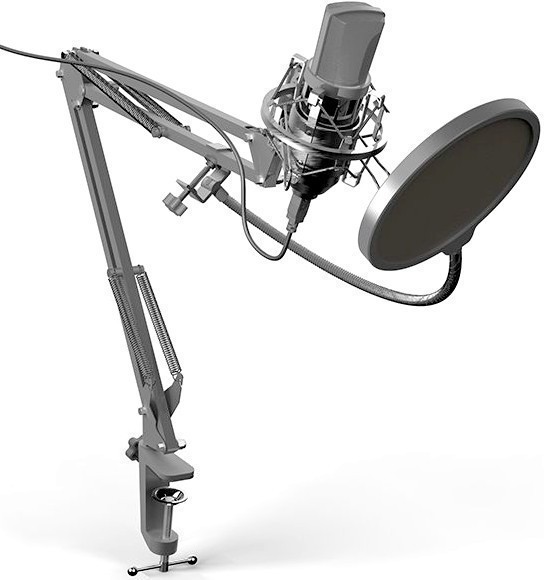 Микрофон Ritmix RDM-169 черный
