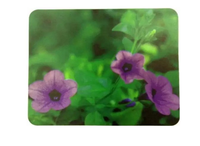 Коврик Buro BU-M20012 рисунок/цветы