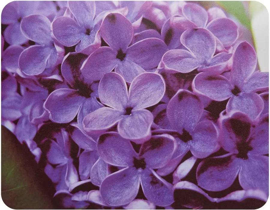 Коврик Buro BU-M20049 рисунок/сирень