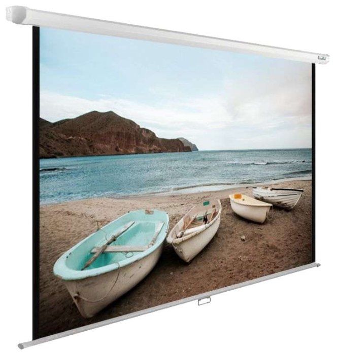 Экран Cactus WallExpert CS-PSWE-220x138-WT