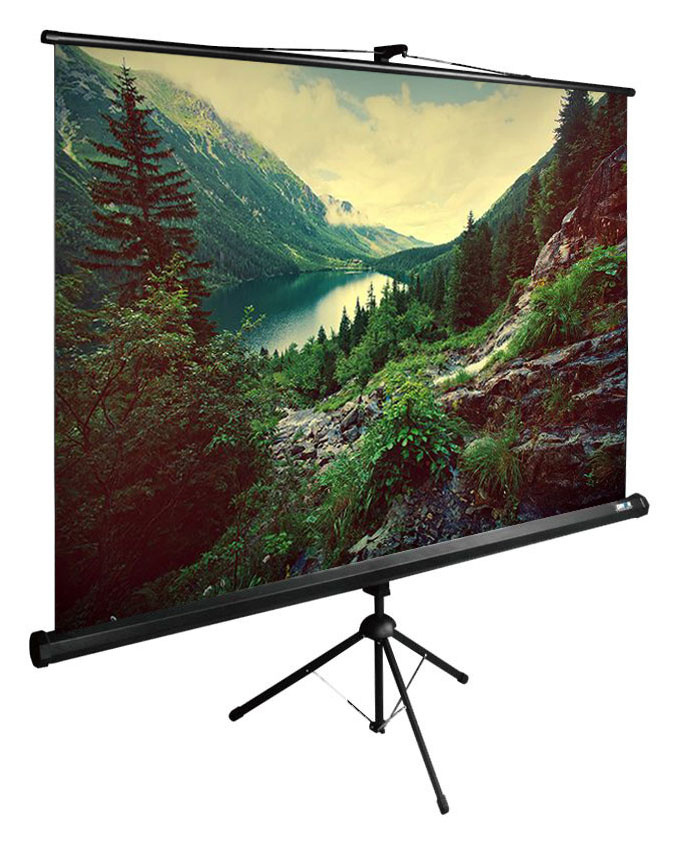 Экран Cactus TriExpert CS-PSTE-220x220-BK