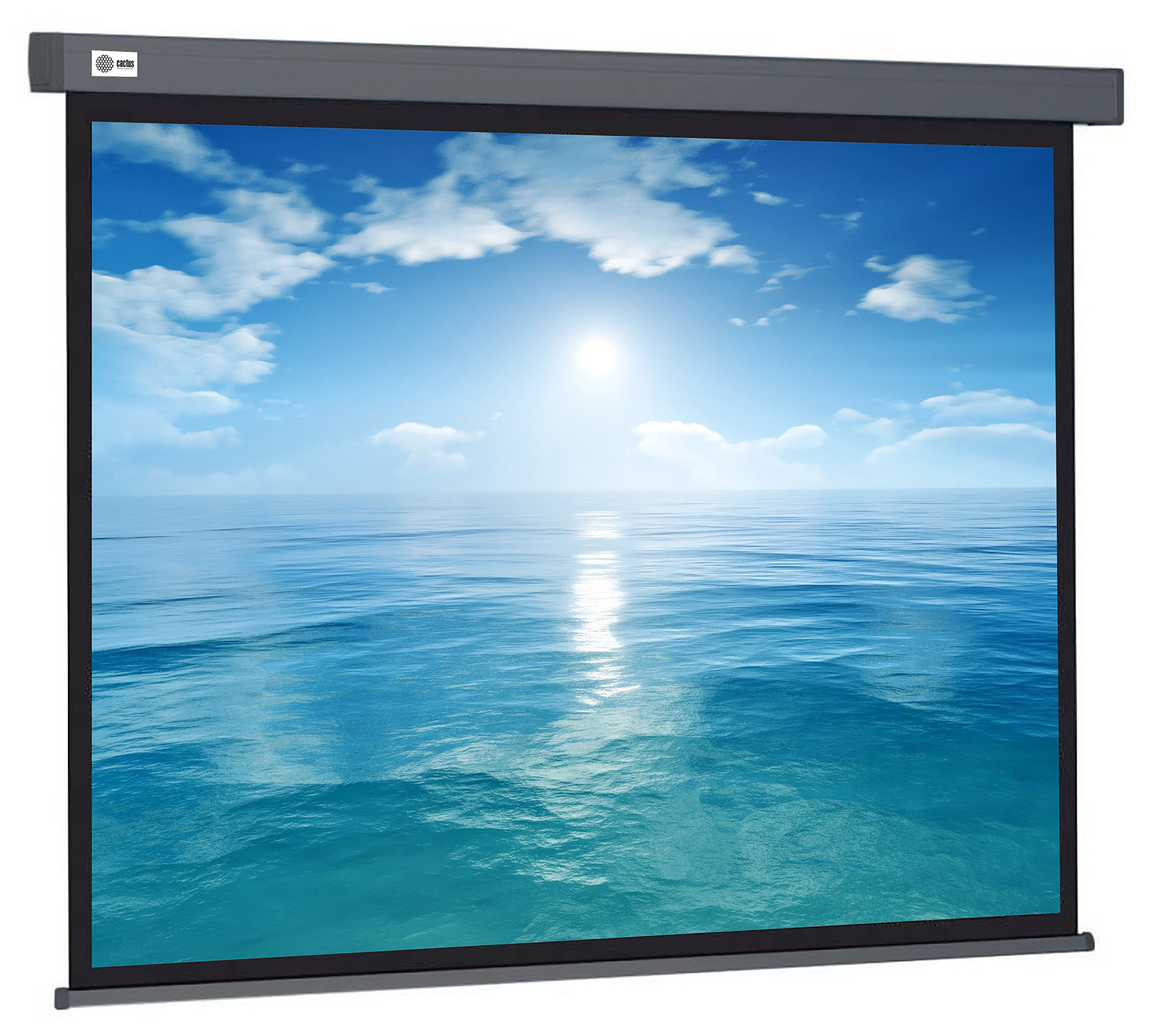 Экран Cactus Wallscreen CS-PSW-104X186-SG