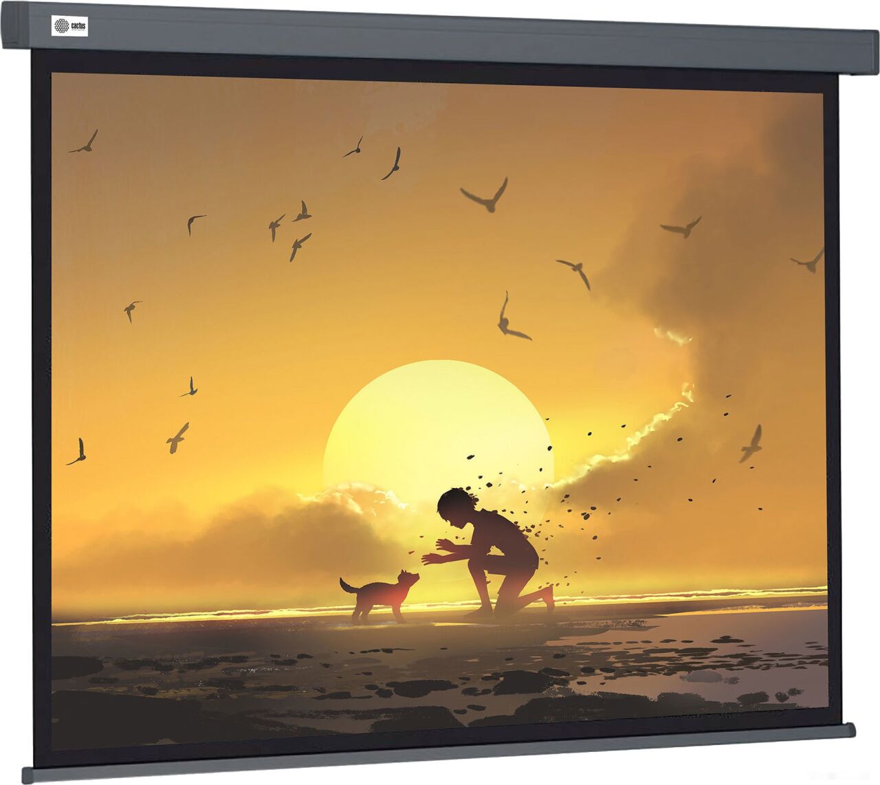 Экран Cactus Wallscreen CS-PSW-124X221-SG
