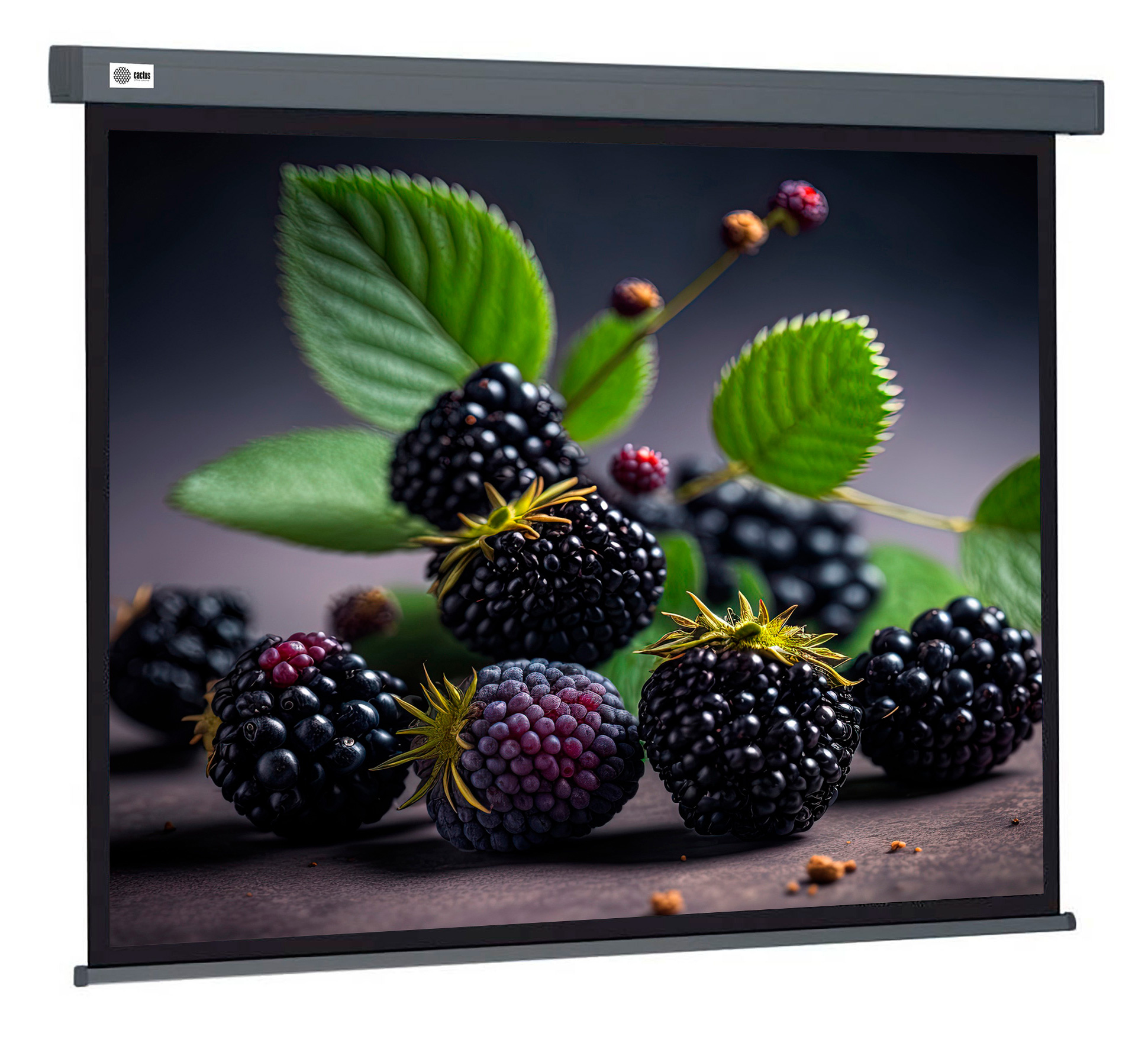 Экран Cactus Wallscreen CS-PSW-127X127-SG