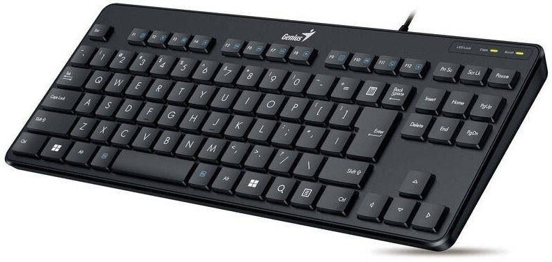 Клавиатура Genius LuxeMate 110 черный (31300012404)