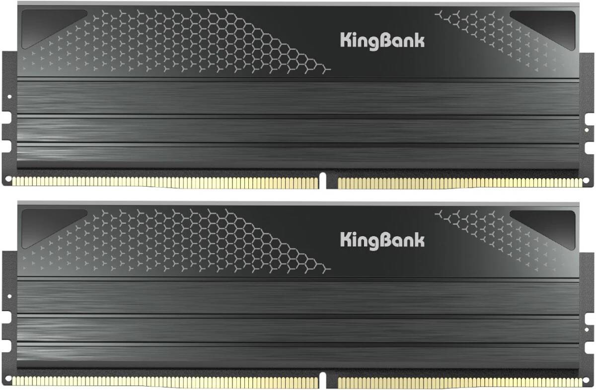 Оперативная память 48Gb Kingbank Black Heatsink K5.01.FPM5NM9501, DDR V, PC-67200, 8400MHz, kit 2x24Gb