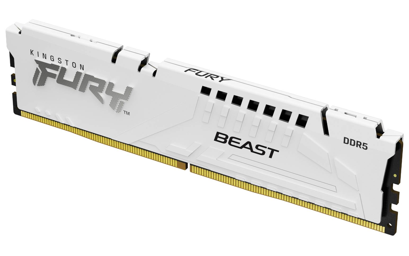 Оперативная память 16Gb Kingston FURY Beast White KF560C30BW-16, DDR V, PC-48000, 6000MHz
