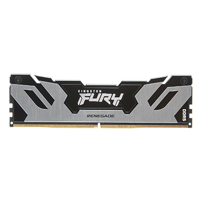 Оперативная память 24Gb Kingston FURY Renegade Silver KF580C38RS-24, DDR V, PC-64000, 8000MHz