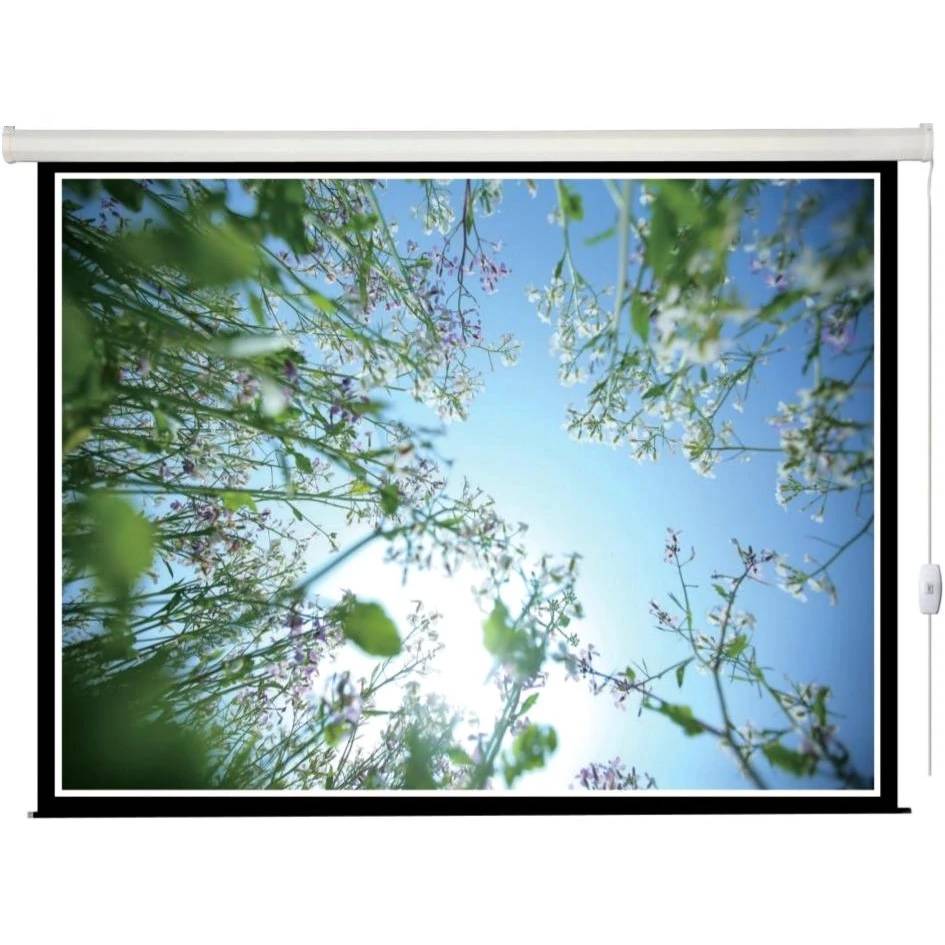 Экран Lumien Eco Control LEC-100109, 142x200