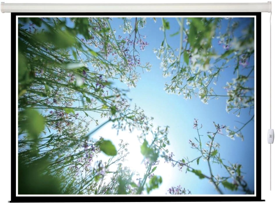 Экран Lumien Eco Control LEC-100115