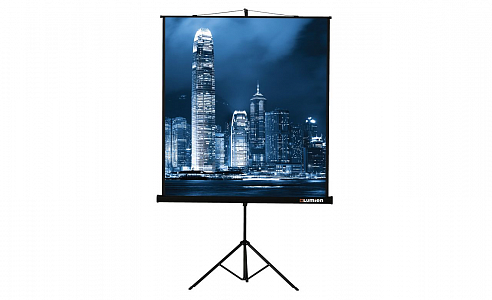 Экран Lumien Master View LMV-100113