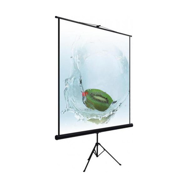 Экран Lumien Master View LMV-100102, 153x153