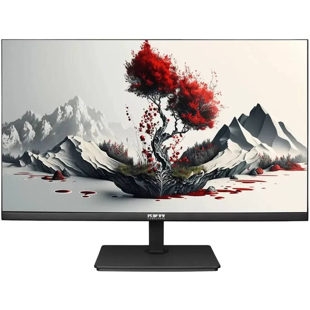 Монитор 23.8" RDW Computers 2401K (F00В3100V2A1H), 1920x1080, IPS, 100Hz, Speakers (VGA, HDMI, DP)