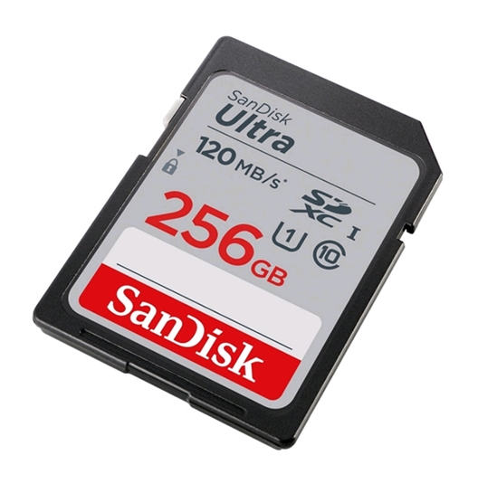 Карта памяти 256Gb SanDisk Ultra SDSDUN4-256G-GN6IN, SD, SDXC Class 10, UHS-I U1