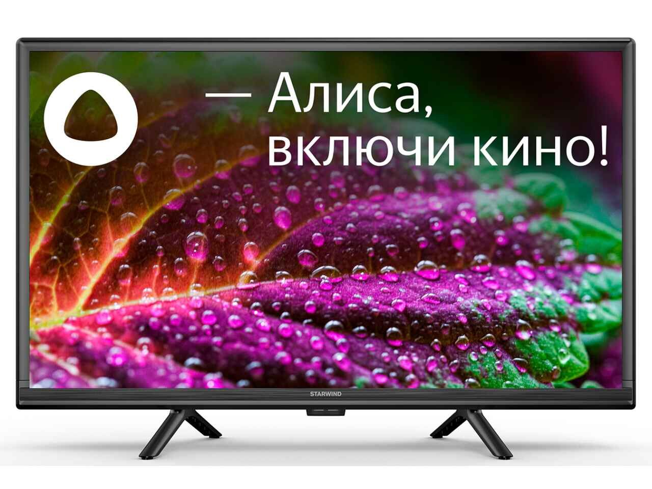 Телевизор 24" Starwind SW-LED24SG304