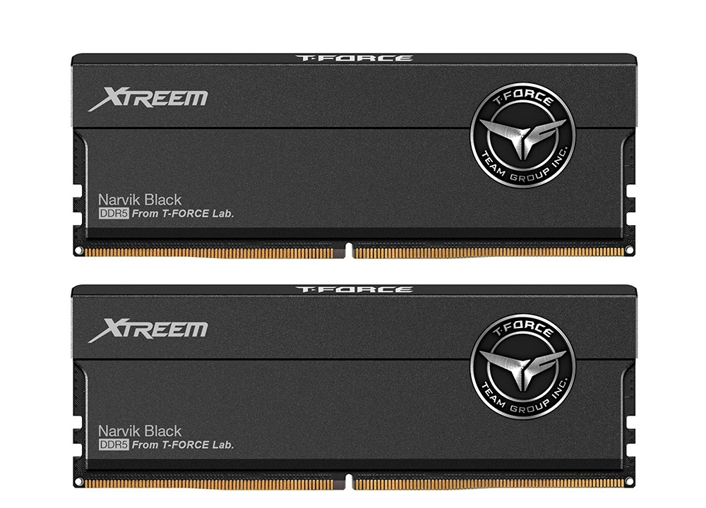 Оперативная память 48Gb Team T-Force Xtreem Black FFXD548G8400HC42BDC-CU01, DDR V, PC-67200, 8400MHz, kit 2x24Gb